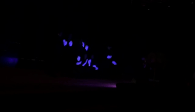 1580458794185460.gif 微信圖片_20200131153648.gif